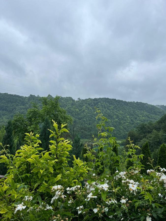 Villa Nature Bihac Luaran gambar