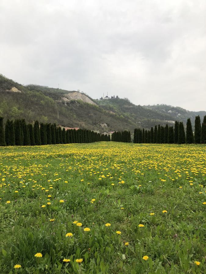 Villa Nature Bihac Luaran gambar
